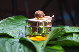 The Latest Trend to Hit the Beauty Aisle: Snail Mucin in Skincare